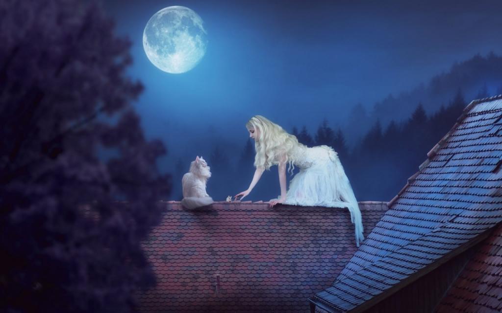 屋顶上的壁纸,晚上,女孩,月亮,白猫,老鼠,屋顶,情况