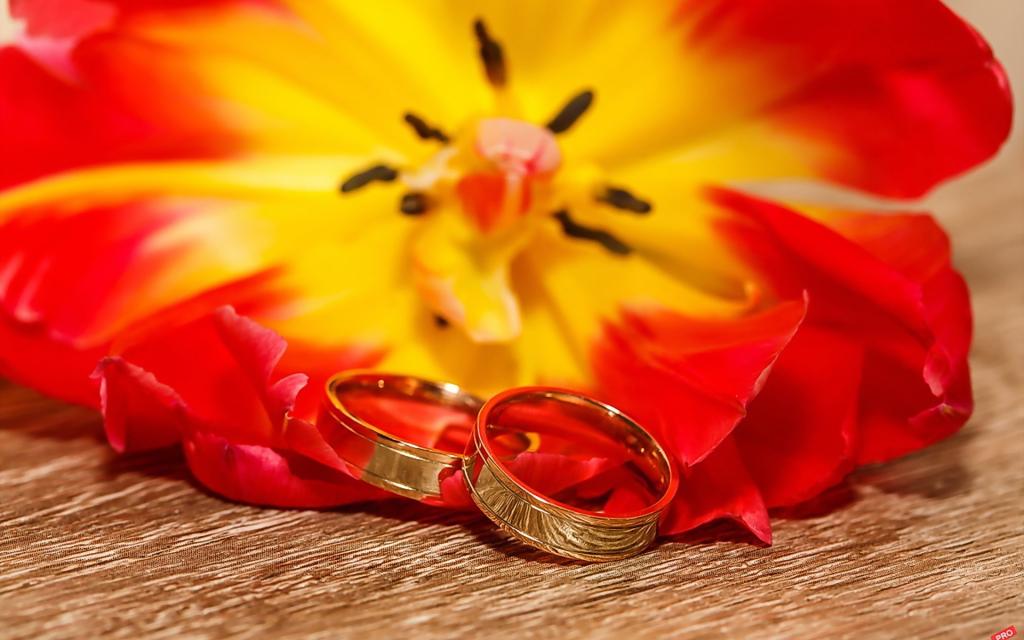 花,假期,订婚戒指,婚礼