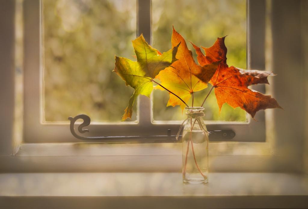 叶子,窗口,秋天