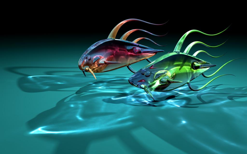 鱼,两个,玻璃,透明,艺术,阴影,鱼