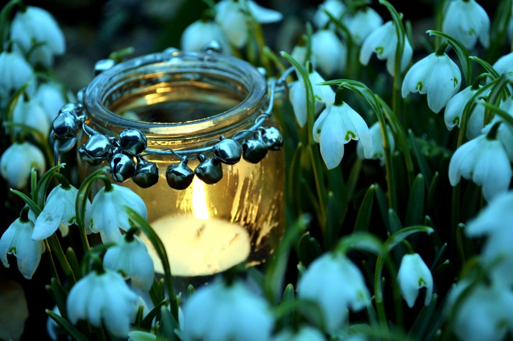 蜡烛,火,罐子,春天,雪花莲