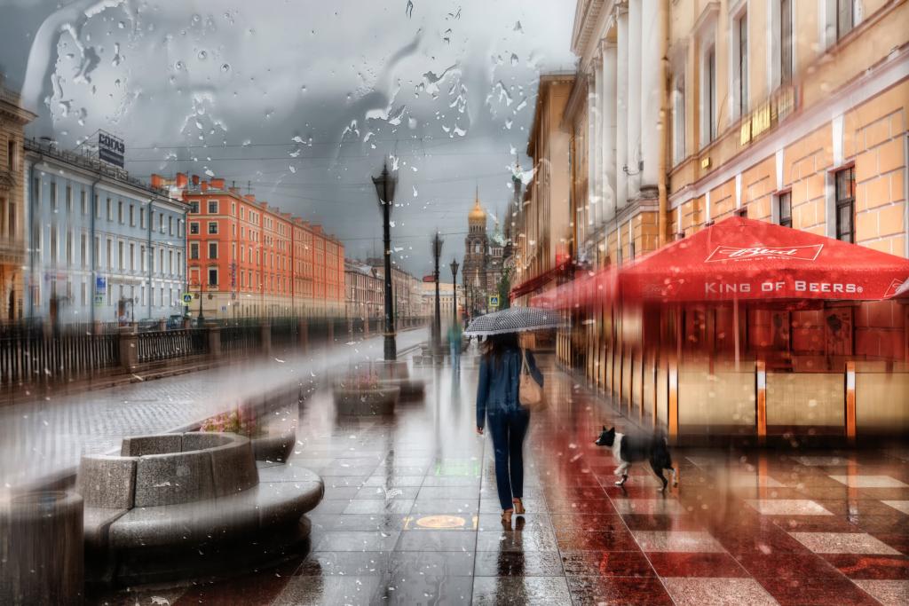 俄罗斯,女孩,圣彼得堡,雨伞,雨,滴