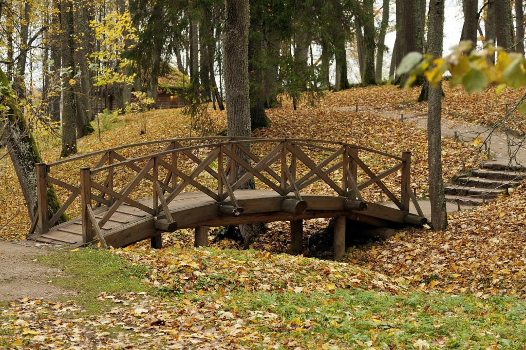 公园,桥,秋天,性质
