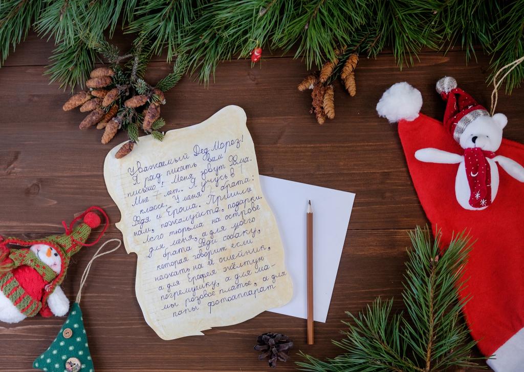 给圣诞老人,枞树枝,假期,Karandash,新年,装饰,帽子的一封信