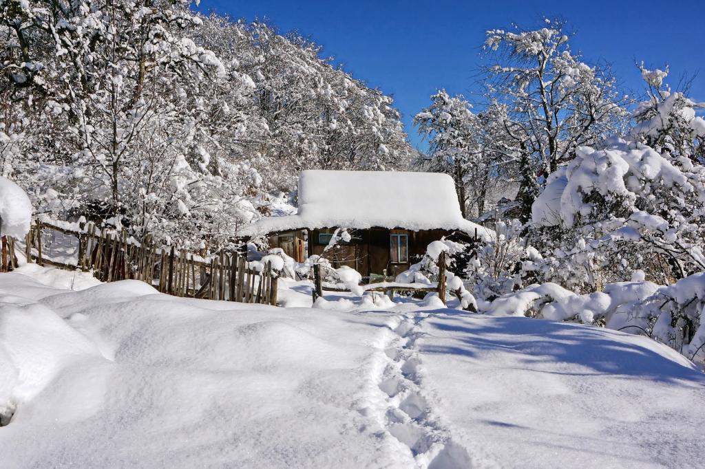 路径,房子,雪,冬天