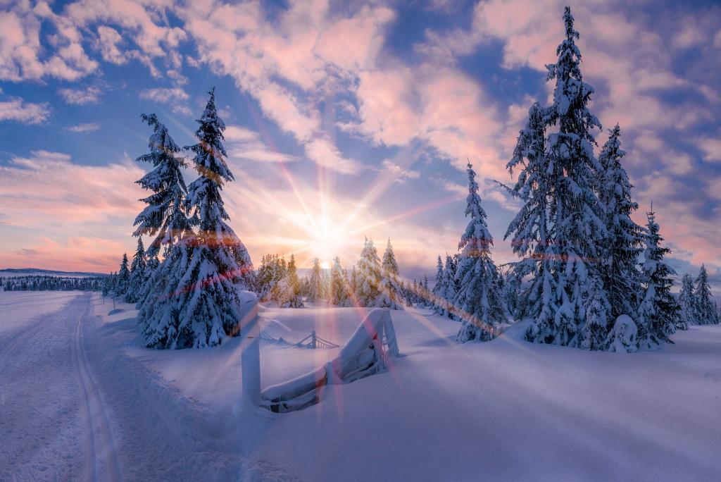 早上,光,雪,挪威,冬天,太阳,明星