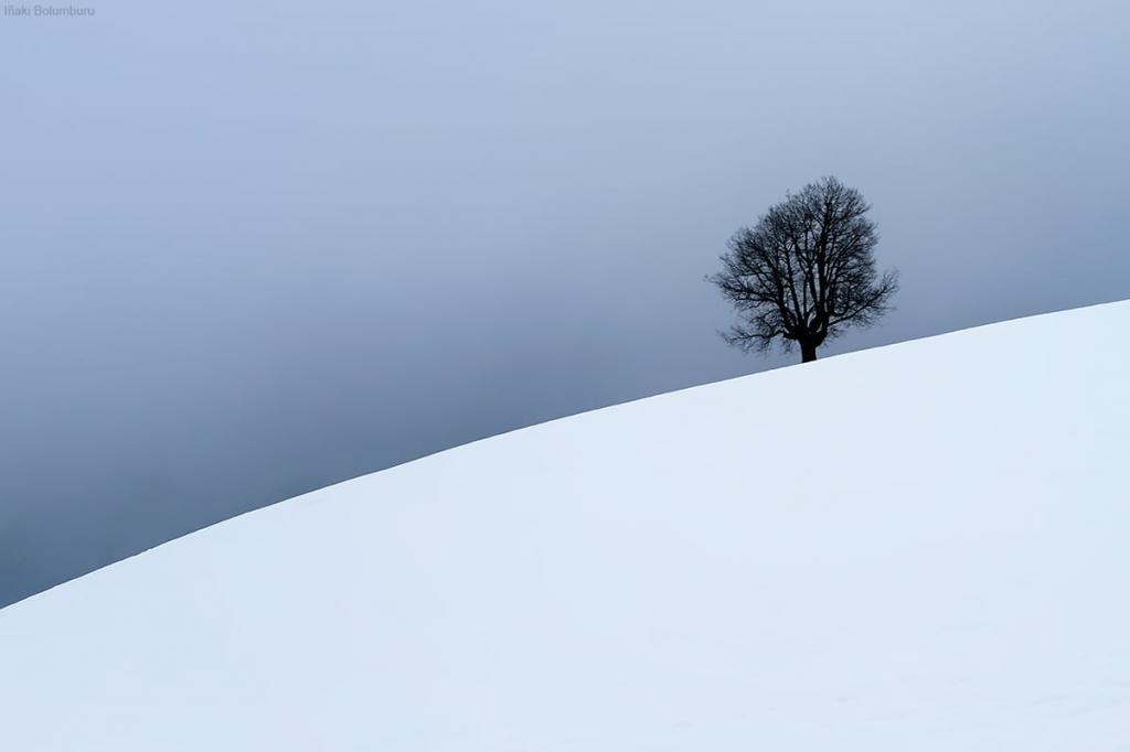 雪盖山高清壁纸上的灰色树