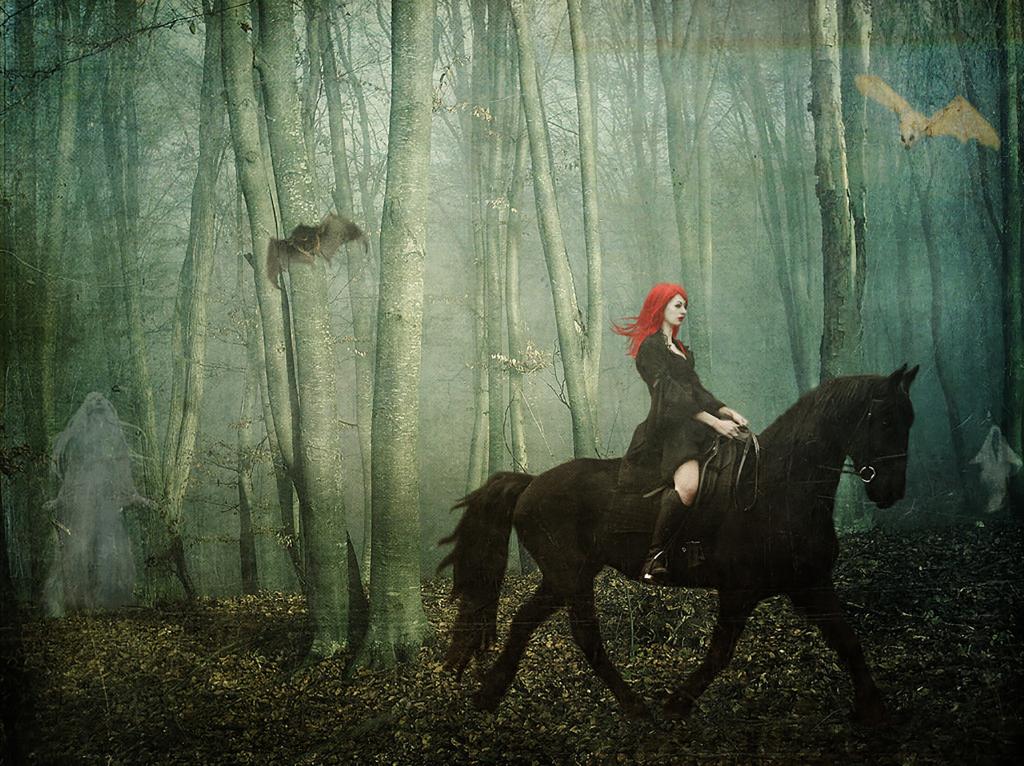 林中的红发魔女