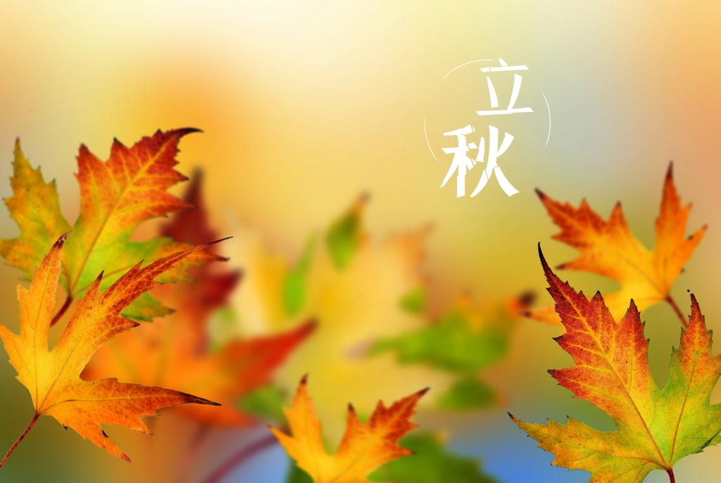 中国传统二十四节气立秋