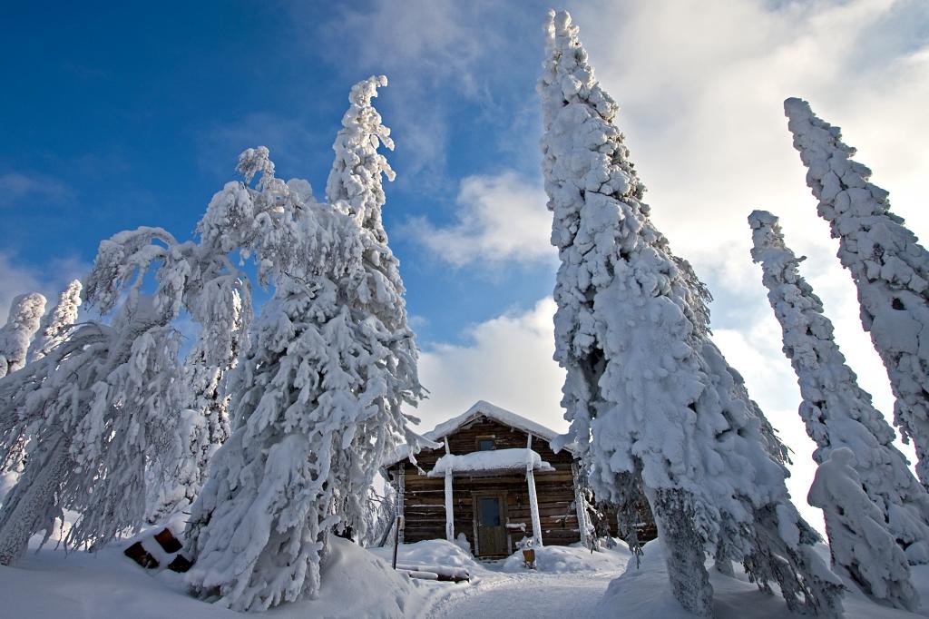 吃了,雪,房子,冬天,雪,大自然,芬兰