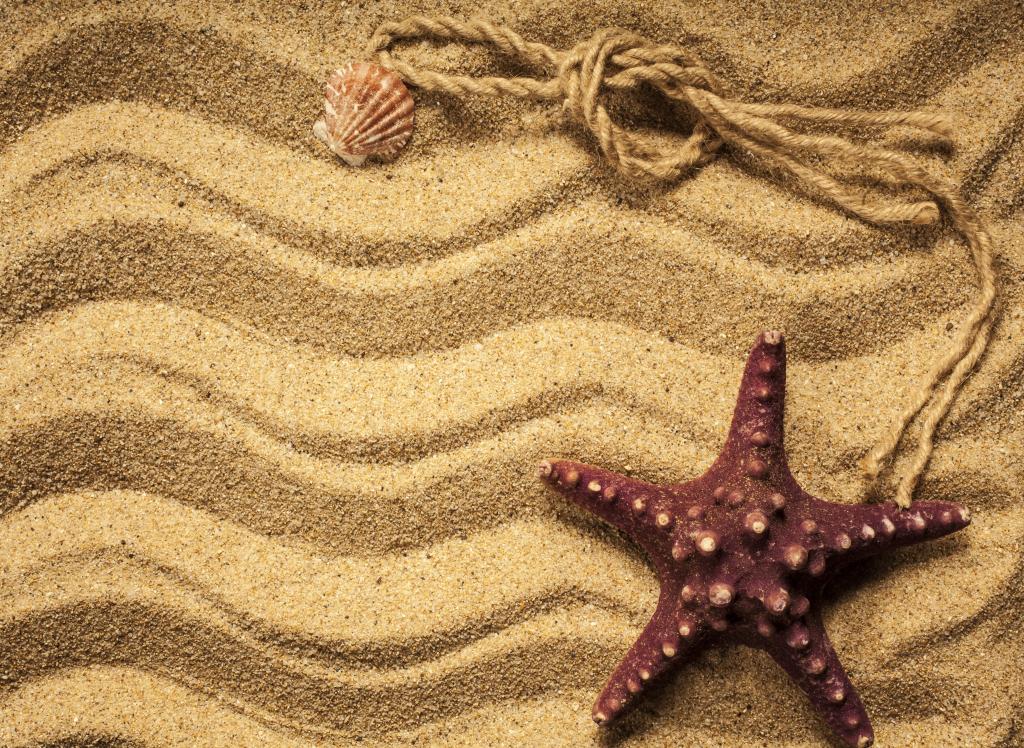 壁纸海星,海洋,沙滩,贝壳,沙子,沙子,纹理,海星