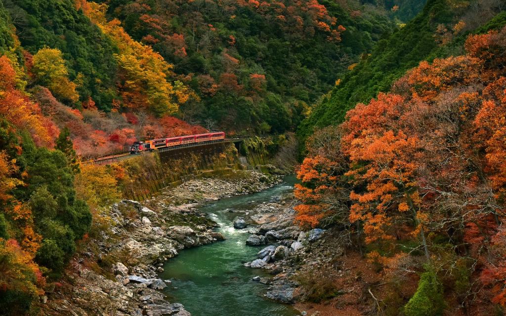 山,路,树,火车,秋,森林,河,石头