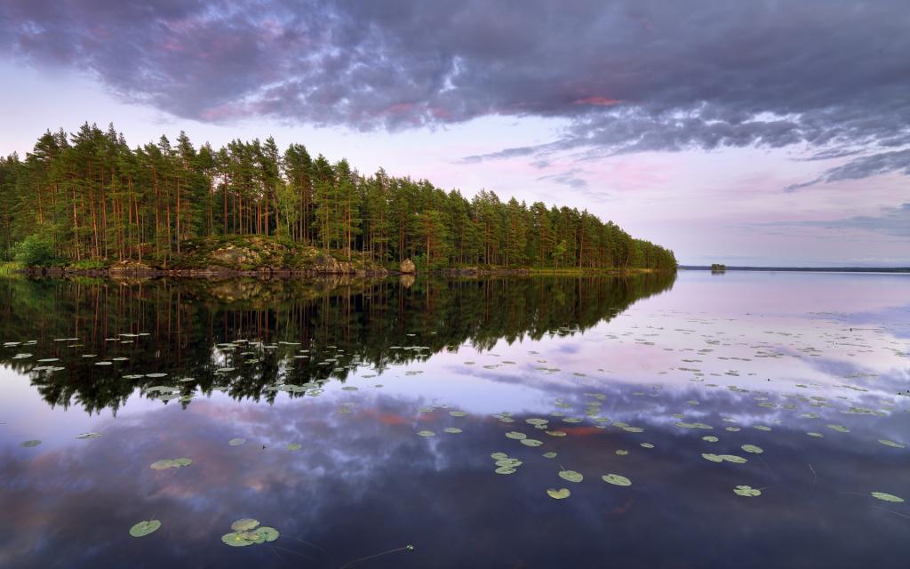 岛,Närke,树木,青少年湖,瑞典,湖,瑞典,森林
