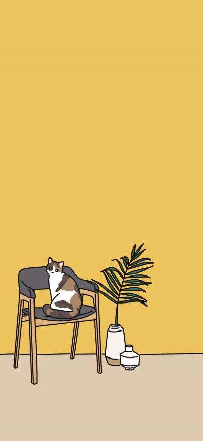 椅子上的小花猫