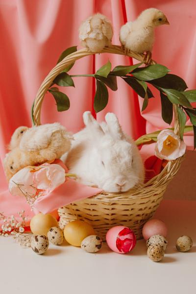 竹篮中的可爱兔兔图片