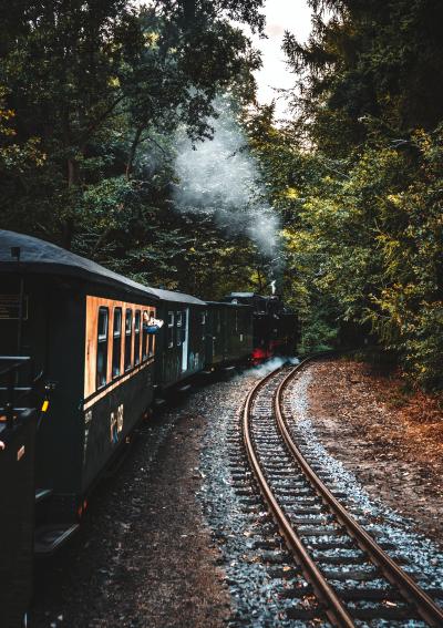 林中的蒸汽火车图片