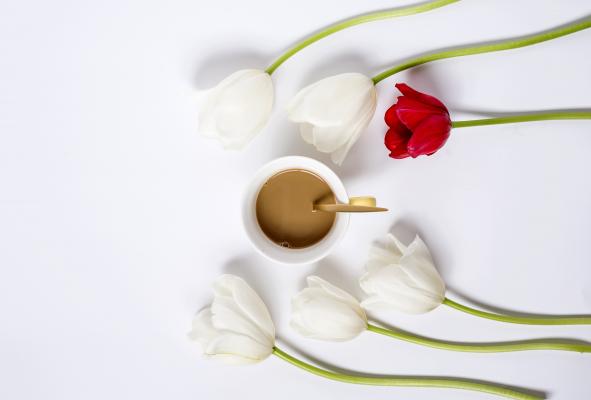 郁金香包围的咖啡图片