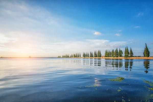 蓝天下的湖泊和成排的树木