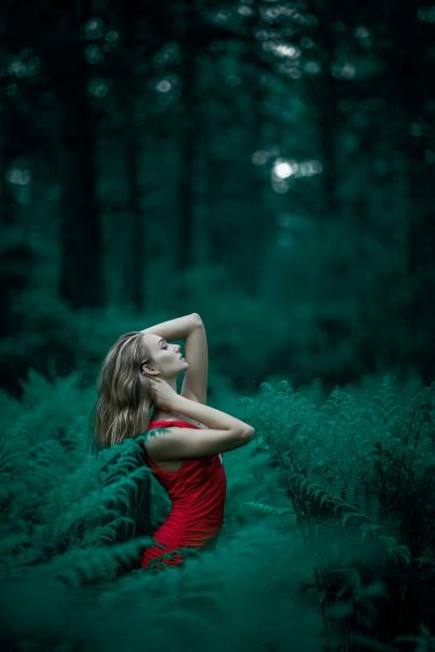 丛林中的红衣美人图片