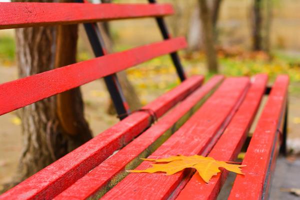 红色长椅上的一片落叶
