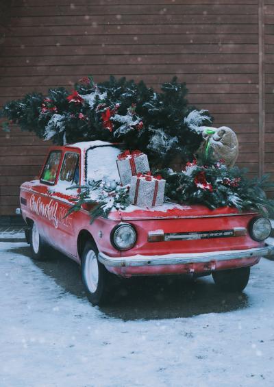 驮着圣诞树的汽车图片