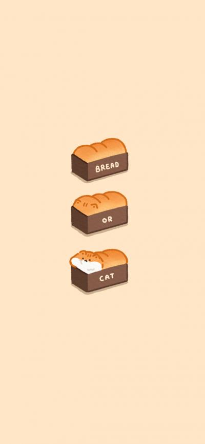面包小猫iPhone14壁纸